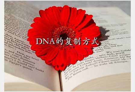 DNAĸƷʽ