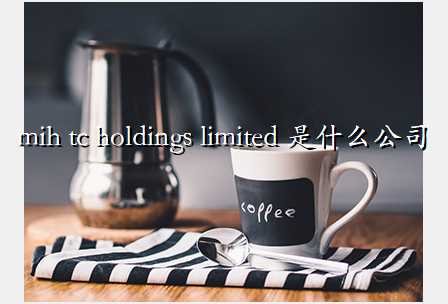 mih tc holdings limited ʲô˾